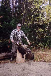 5x5 bull