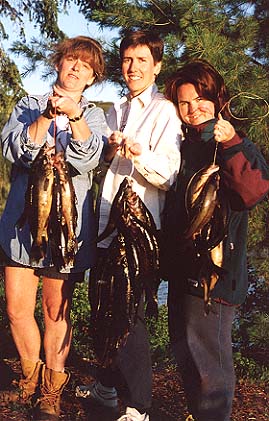 You want a lot of walleye ? You've got it !
